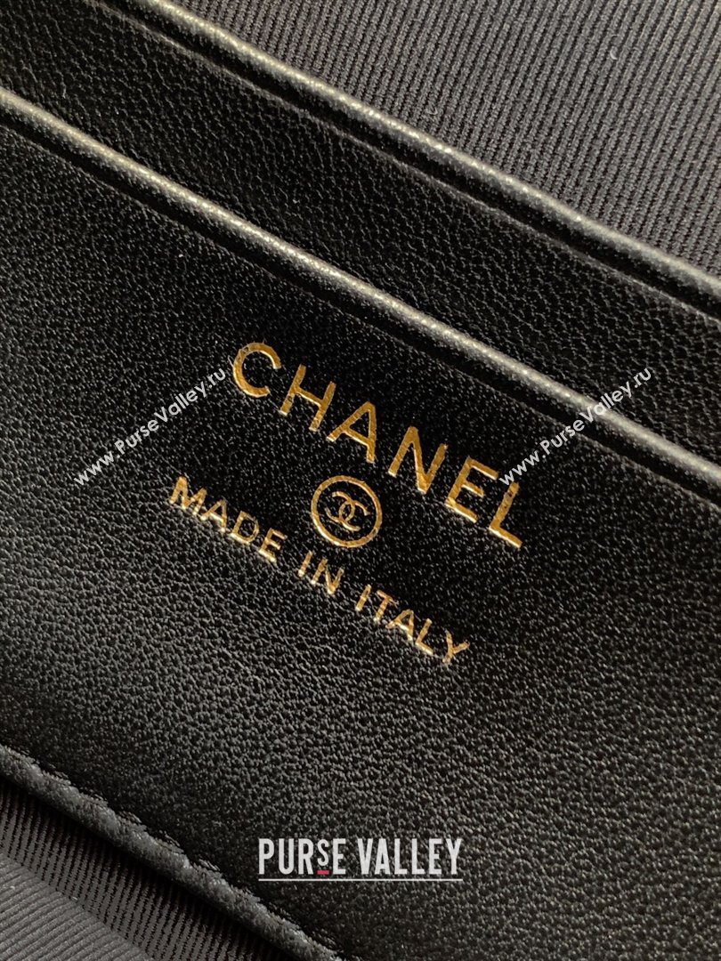 Chanel Vanity with Chain in Suede Calfskin Shiny Lambskin AP5186 Pink 2026 (JY-26040804)