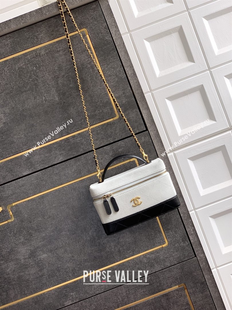 Chanel Vanity with Chain in Suede Calfskin Shiny Lambskin AP5186 Light Grey 2026 (JY-26040806)