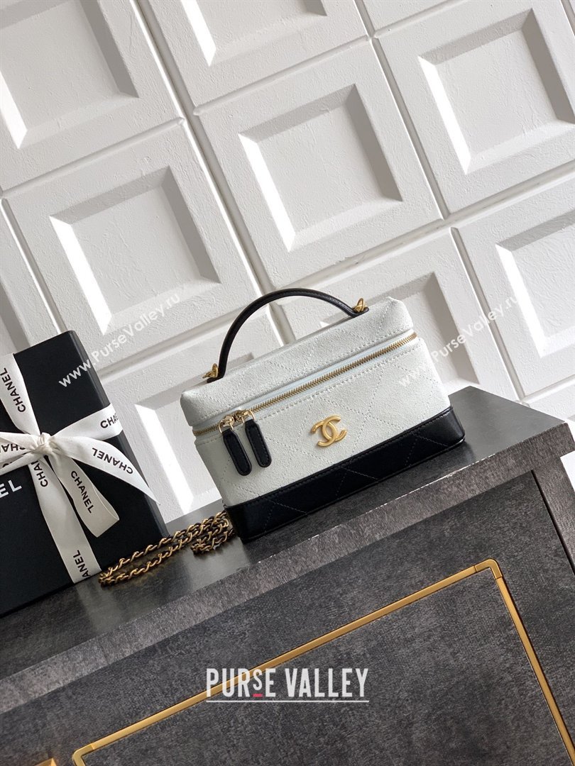 Chanel Vanity with Chain in Suede Calfskin Shiny Lambskin AP5186 Light Grey 2026 (JY-26040806)