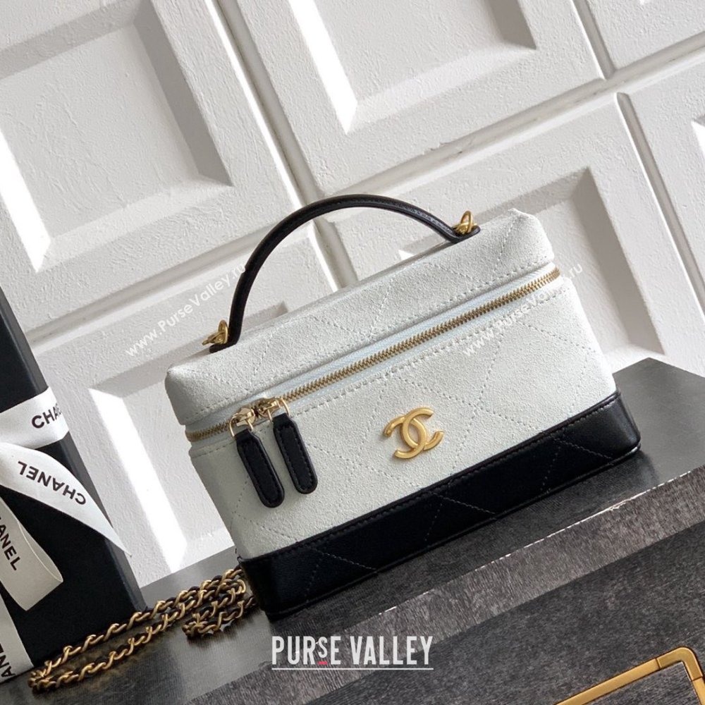 Chanel Vanity with Chain in Suede Calfskin Shiny Lambskin AP5186 Light Grey 2026 (JY-26040806)