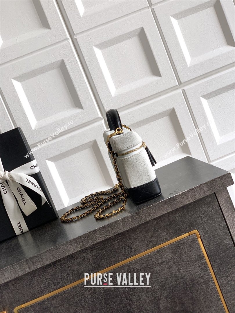 Chanel Vanity with Chain in Suede Calfskin Shiny Lambskin AP5186 Light Grey 2026 (JY-26040806)