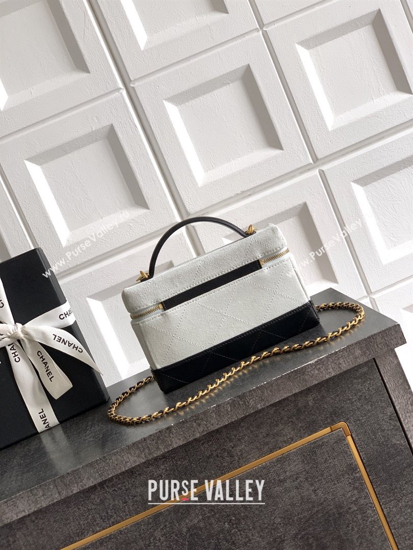 Chanel Vanity with Chain in Suede Calfskin Shiny Lambskin AP5186 Light Grey 2026 (JY-26040806)
