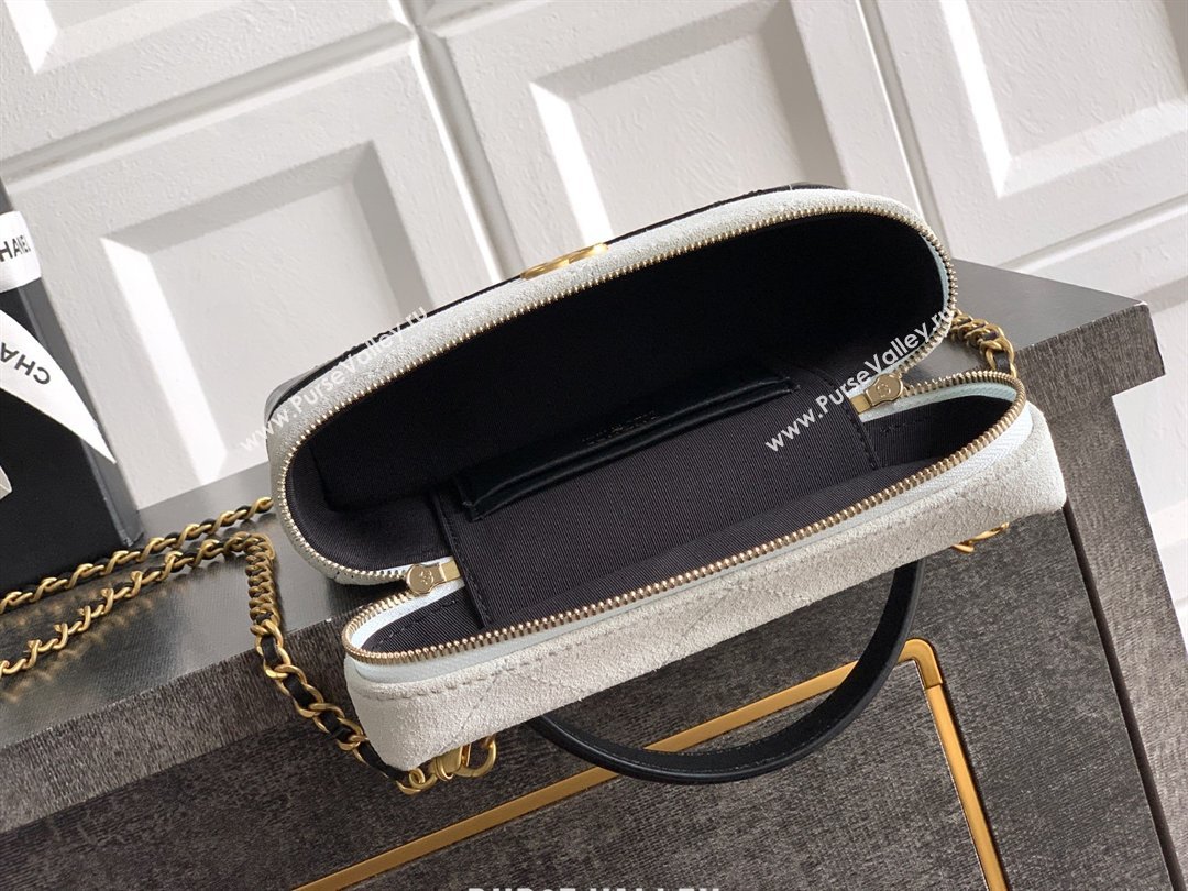 Chanel Vanity with Chain in Suede Calfskin Shiny Lambskin AP5186 Light Grey 2026 (JY-26040806)