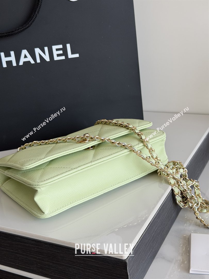Chanel Wallet On Chain with Top Handle Grained Shiny Calfskin AP4931 Light Green 2026 (YEZI-26040716)