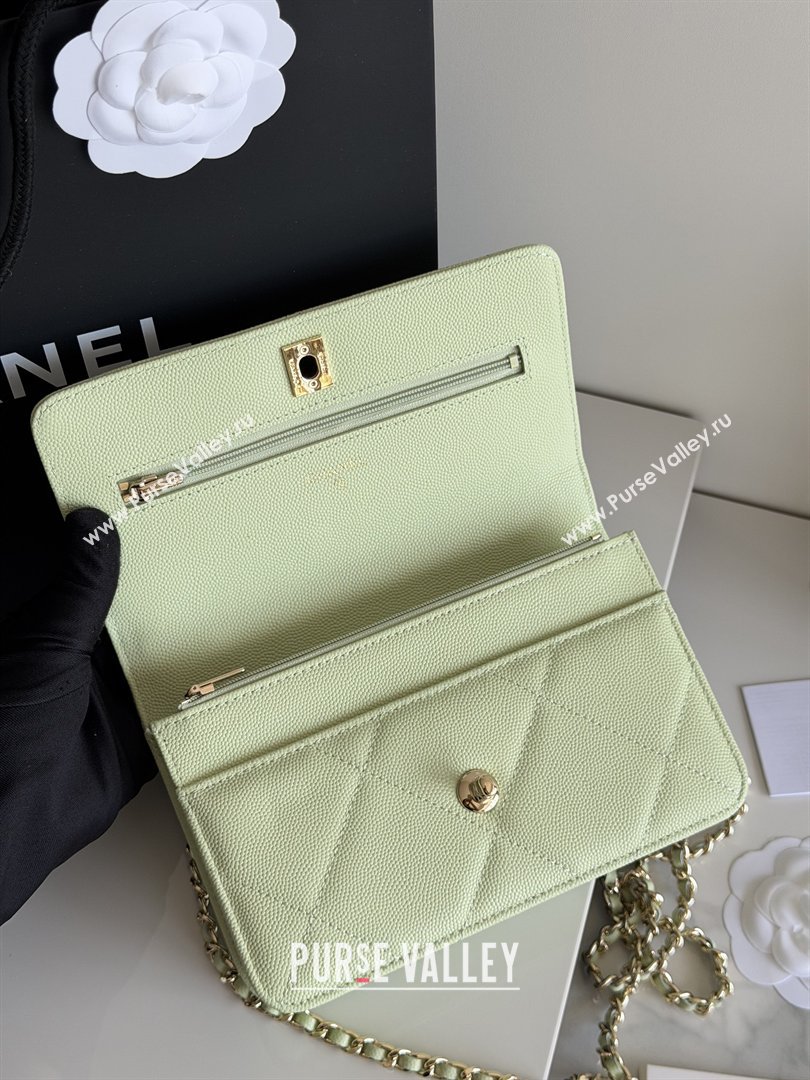 Chanel Wallet On Chain with Top Handle Grained Shiny Calfskin AP4931 Light Green 2026 (YEZI-26040716)