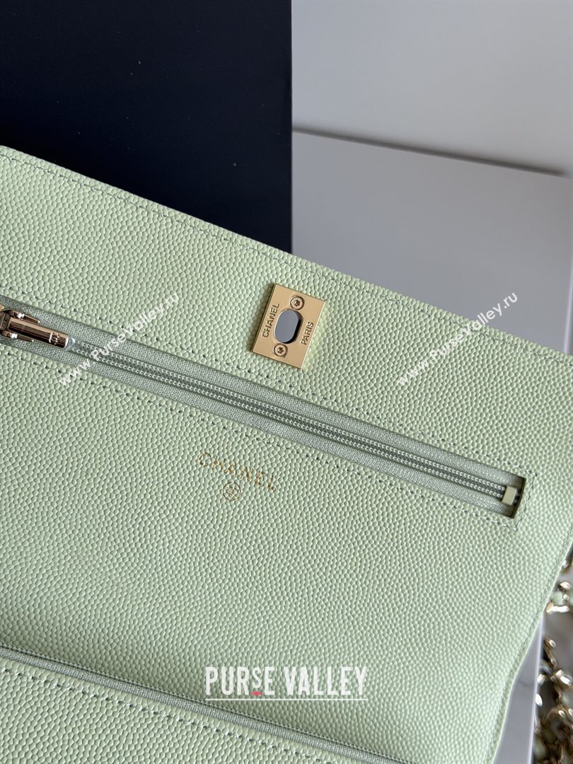 Chanel Wallet On Chain with Top Handle Grained Shiny Calfskin AP4931 Light Green 2026 (YEZI-26040716)