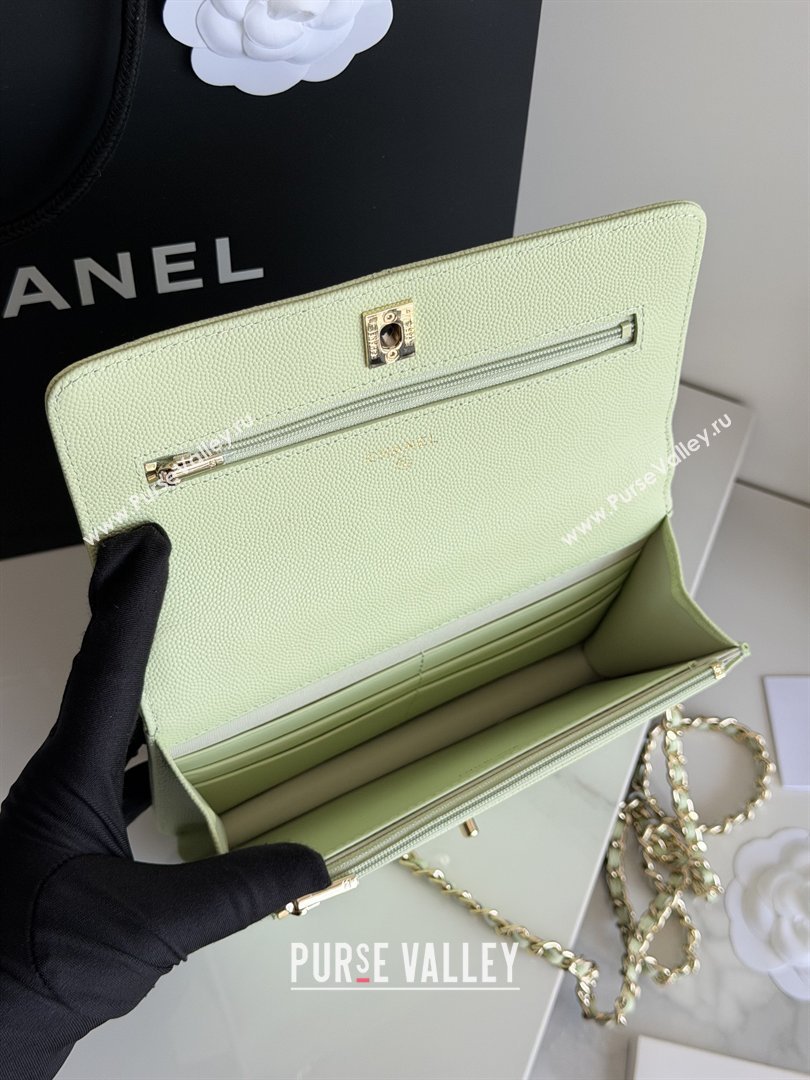 Chanel Wallet On Chain with Top Handle Grained Shiny Calfskin AP4931 Light Green 2026 (YEZI-26040716)