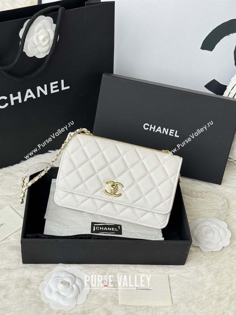 Chanel Lambskin Wallet On Chain WOC with Top Metal Band 6841V White 2026 (JY-26040723)