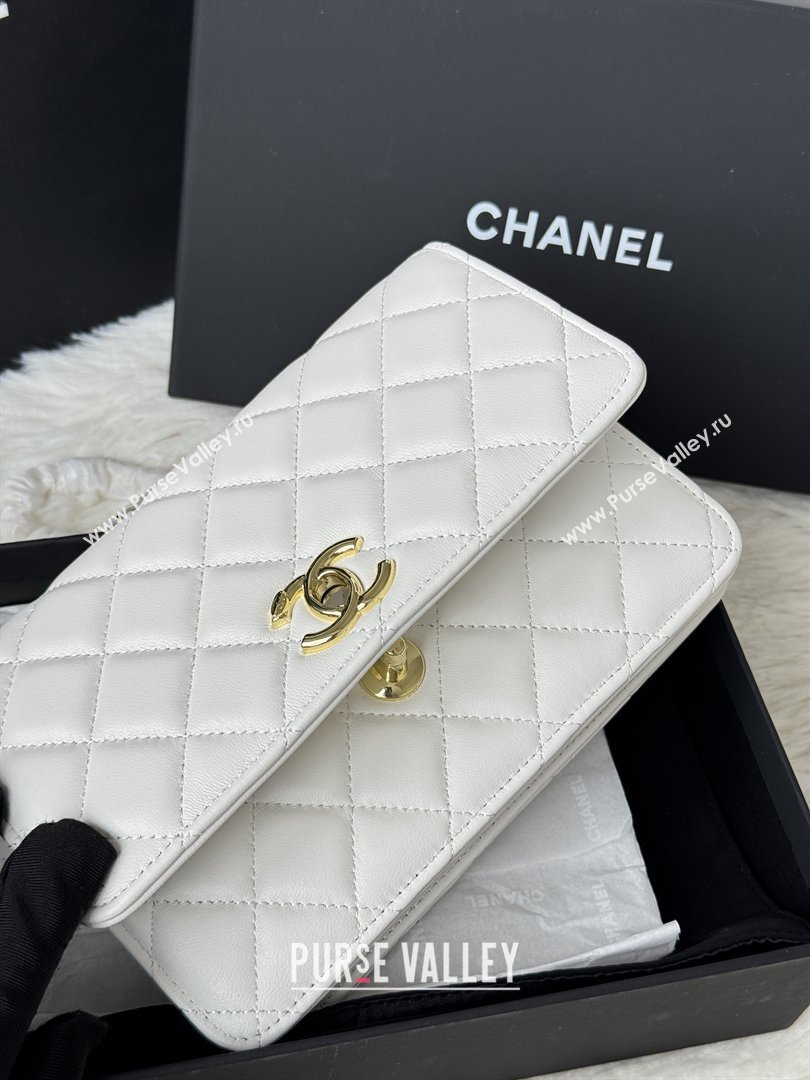Chanel Lambskin Wallet On Chain WOC with Top Metal Band 6841V White 2026 (JY-26040723)