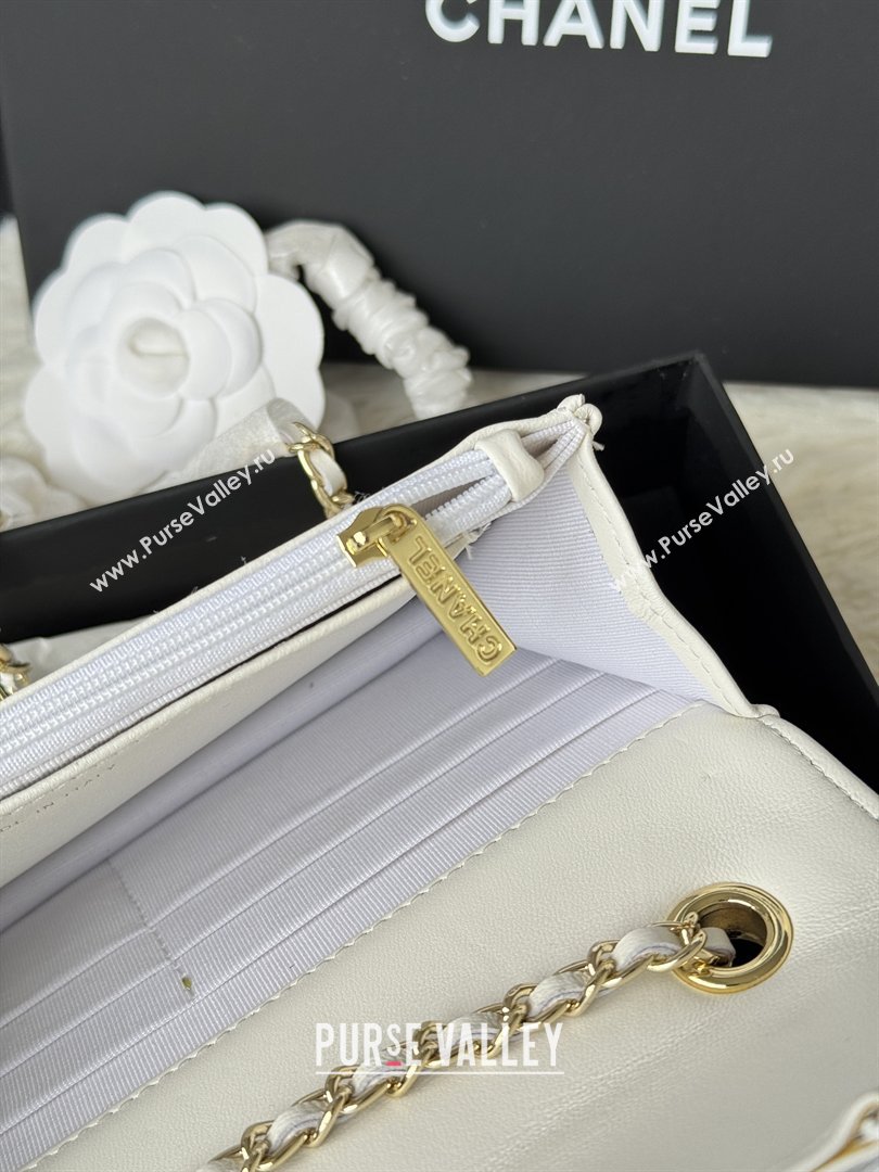 Chanel Lambskin Wallet On Chain WOC with Top Metal Band 6841V White 2026 (JY-26040723)