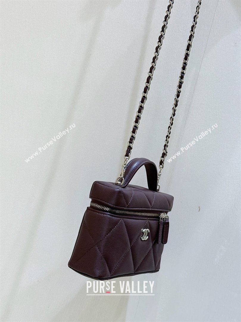 Chanel Grained Shiny Calfskin Vanity Case with Top Handle AP4936 Reddish Brown 2026 Top Quality (SHUNY-26040813)