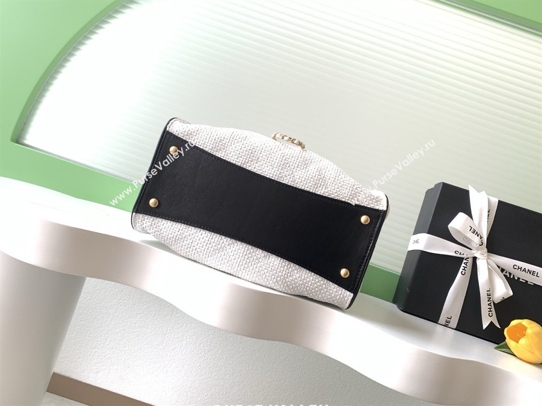 Chanel 25 Small Hobo Handbag in Braided Raffia AS5293 White 2026 (JY-26040809)