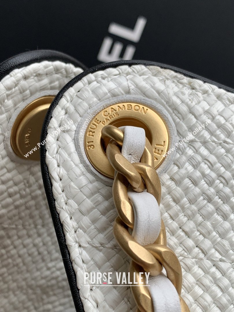 Chanel 25 Small Hobo Handbag in Braided Raffia AS5293 White 2026 (JY-26040809)