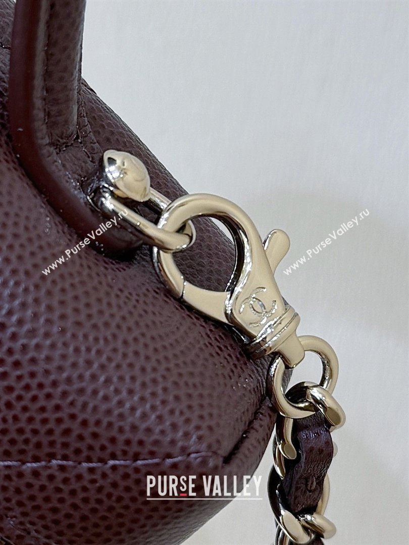 Chanel Grained Shiny Calfskin Vanity Case with Top Handle AP4936 Reddish Brown 2026 Top Quality (SHUNY-26040813)