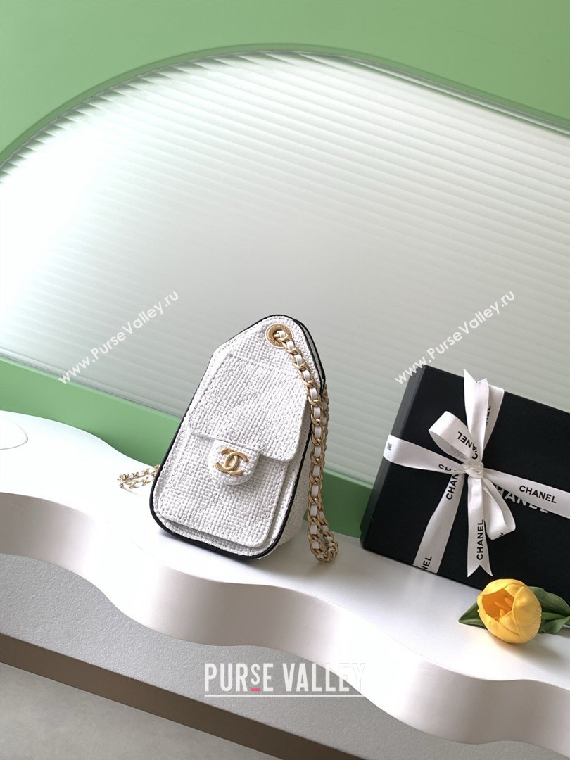 Chanel 25 Mini Hobo Handbag in Braided Raffia AS5631 White 2026 (JY-26040812)