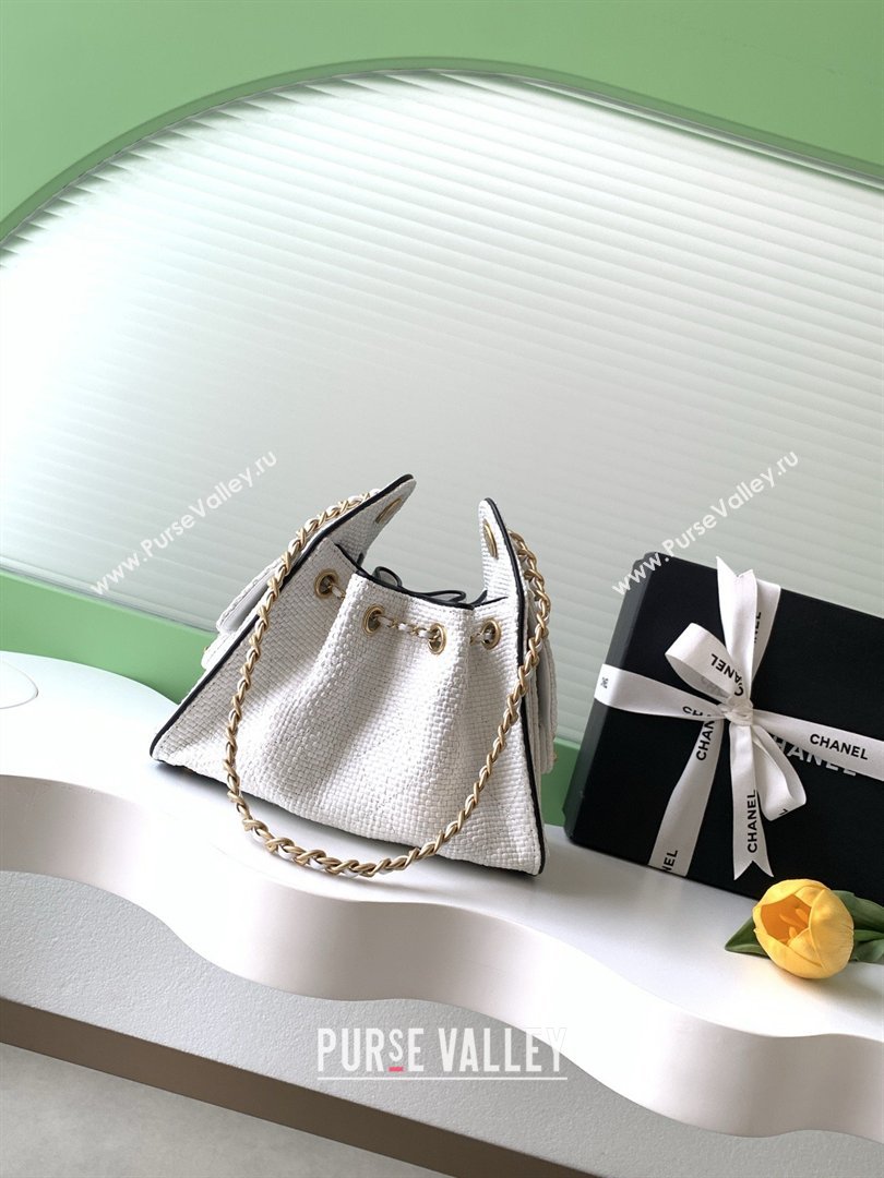 Chanel 25 Mini Hobo Handbag in Braided Raffia AS5631 White 2026 (JY-26040812)