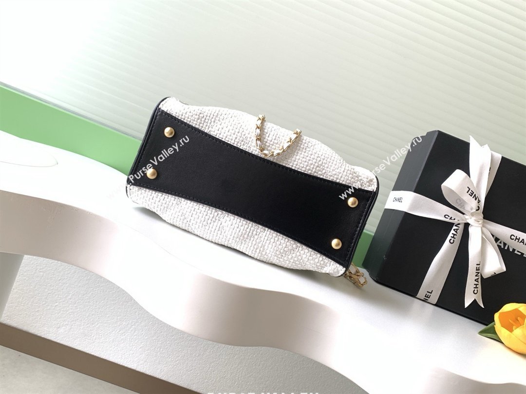 Chanel 25 Mini Hobo Handbag in Braided Raffia AS5631 White 2026 (JY-26040812)