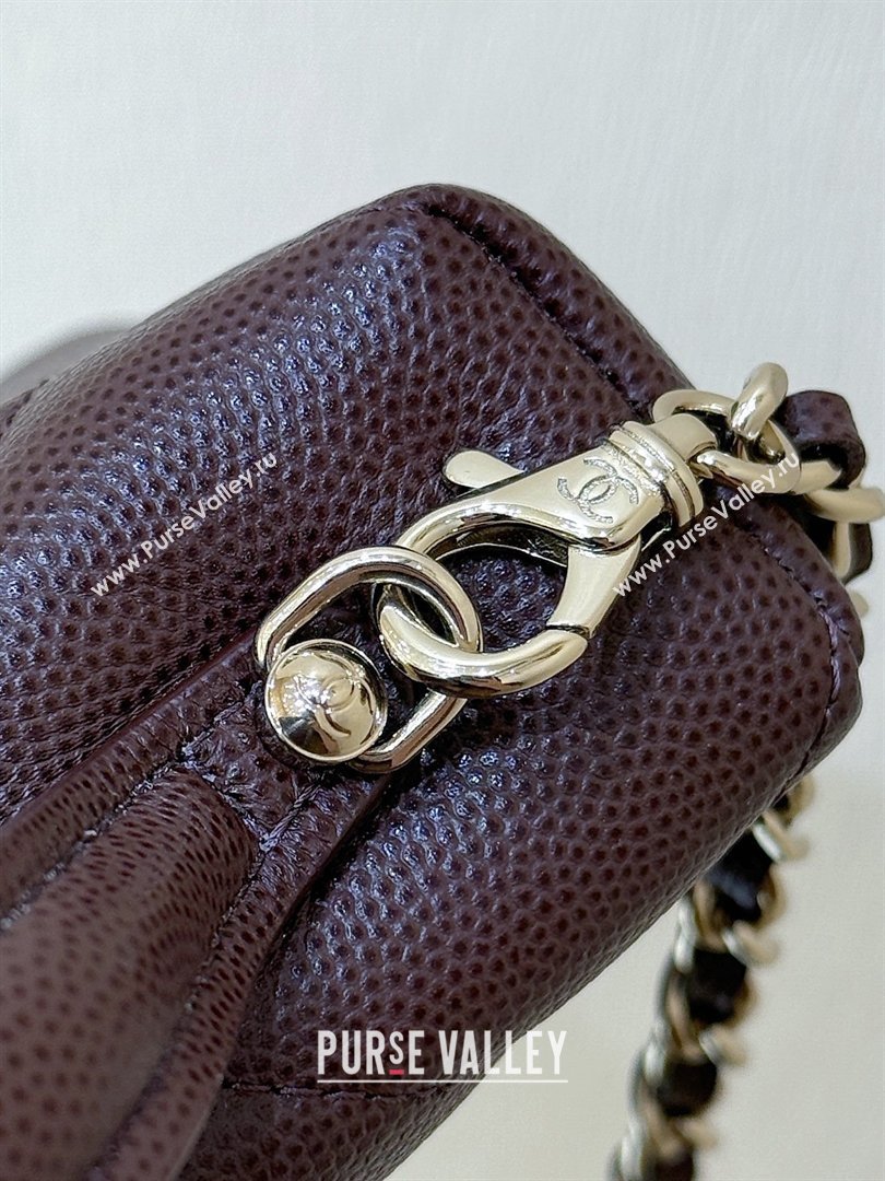 Chanel Grained Shiny Calfskin Vanity Case with Top Handle AP4936 Reddish Brown 2026 Top Quality (SHUNY-26040813)