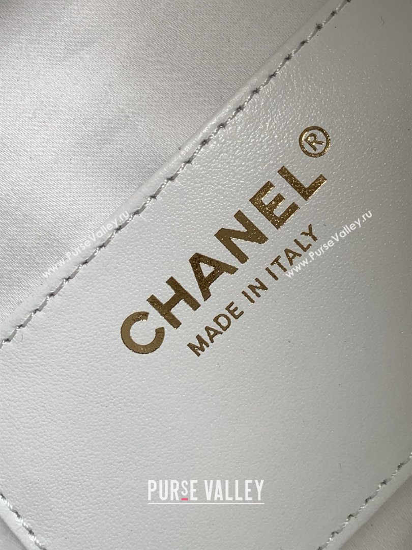 Chanel 25 Mini Hobo Handbag in Braided Raffia AS5631 White 2026 (JY-26040812)