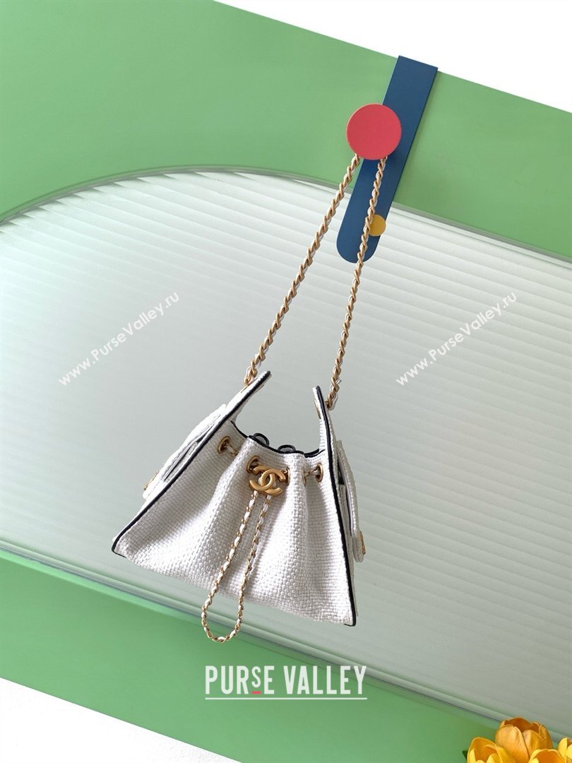 Chanel 25 Mini Hobo Handbag in Braided Raffia AS5631 White 2026 (JY-26040812)