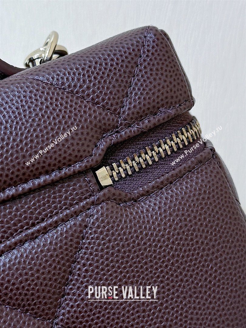 Chanel Grained Shiny Calfskin Vanity Case with Top Handle AP4936 Reddish Brown 2026 Top Quality (SHUNY-26040813)