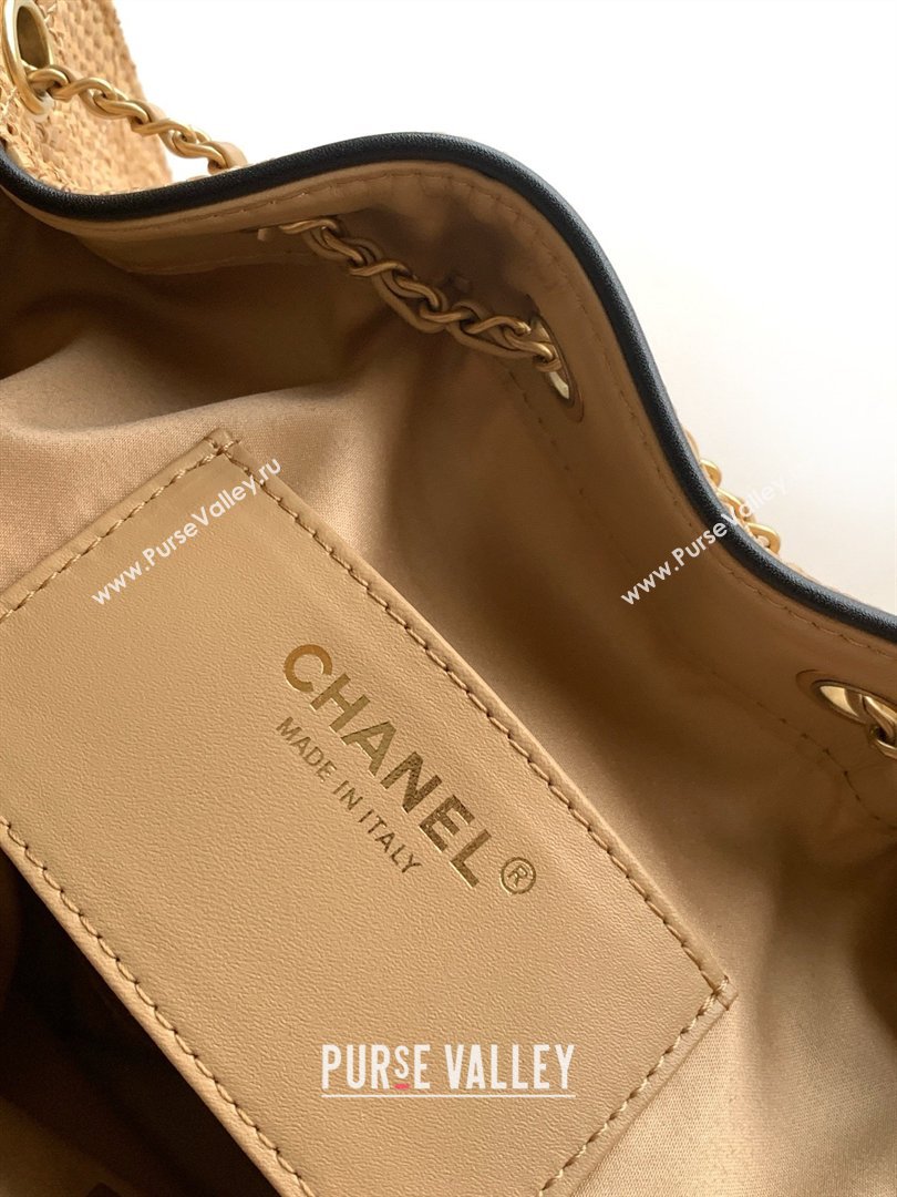 Chanel 25 Small Hobo Handbag in Braided Raffia AS5293 Beige 2026 (JY-26040808)