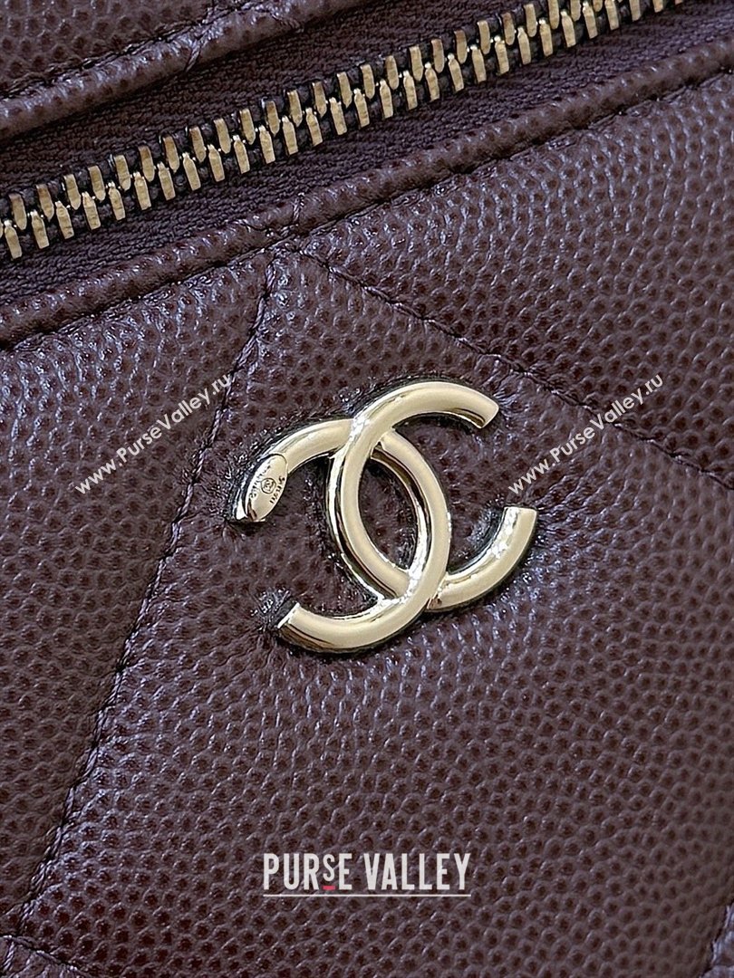 Chanel Grained Shiny Calfskin Vanity Case with Top Handle AP4936 Reddish Brown 2026 Top Quality (SHUNY-26040813)