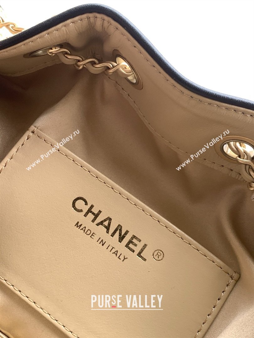 Chanel 25 Mini Hobo Handbag in Braided Raffia AS5631 Beige 2026 (JY-26040811)