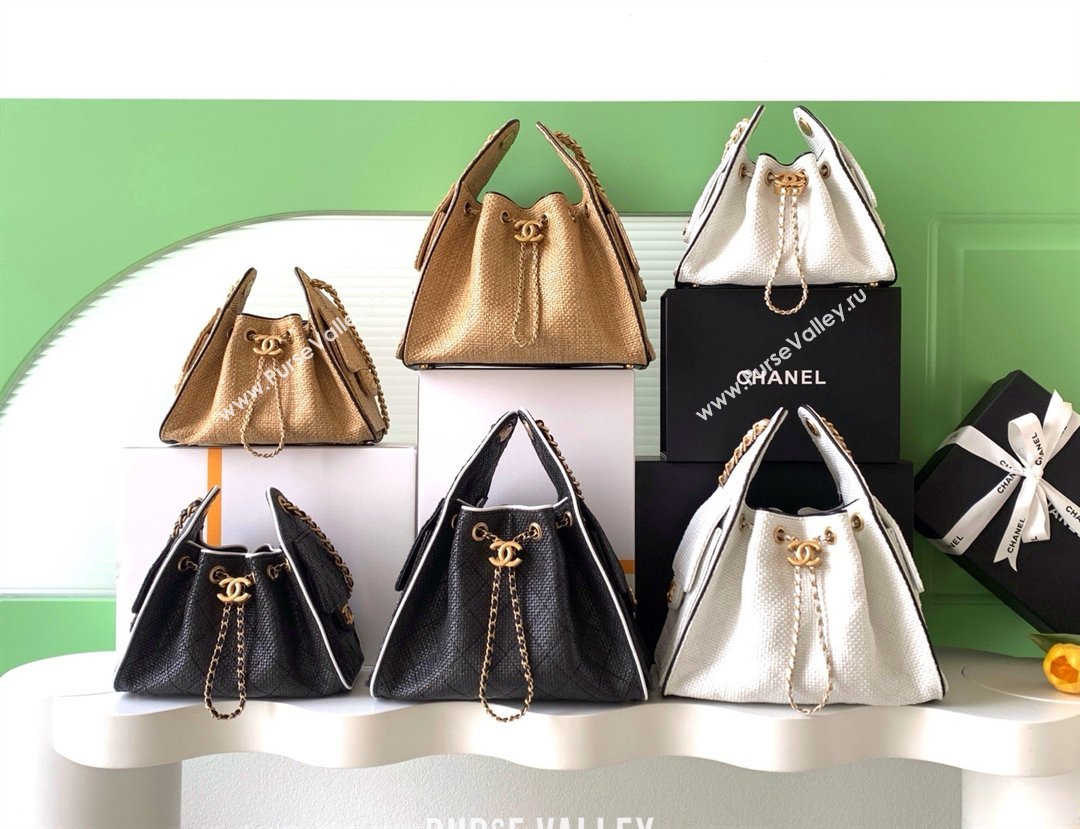 Chanel 25 Mini Hobo Handbag in Braided Raffia AS5631 Beige 2026 (JY-26040811)