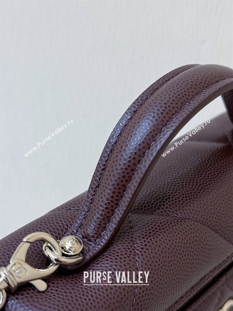 Chanel Grained Shiny Calfskin Vanity Case with Top Handle AP4936 Reddish Brown 2026 Top Quality (SHUNY-26040813)