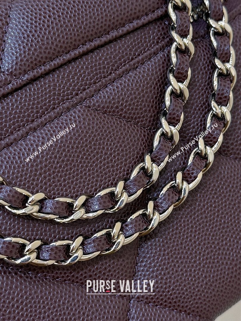 Chanel Grained Shiny Calfskin Vanity Case with Top Handle AP4936 Reddish Brown 2026 Top Quality (SHUNY-26040813)