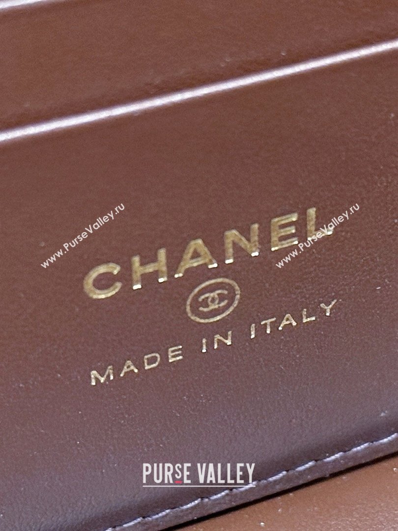 Chanel Grained Shiny Calfskin Vanity Case with Top Handle AP4936 Reddish Brown 2026 Top Quality (SHUNY-26040813)