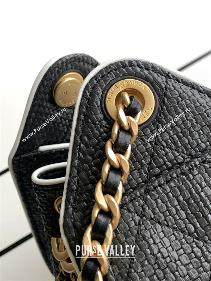 Chanel 25 Mini Hobo Handbag in Braided Raffia AS5631 Black 2026 (JY-26040810)