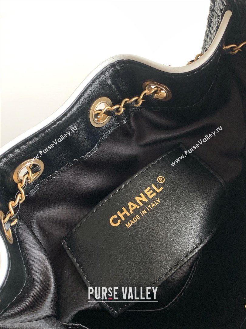 Chanel 25 Mini Hobo Handbag in Braided Raffia AS5631 Black 2026 (JY-26040810)