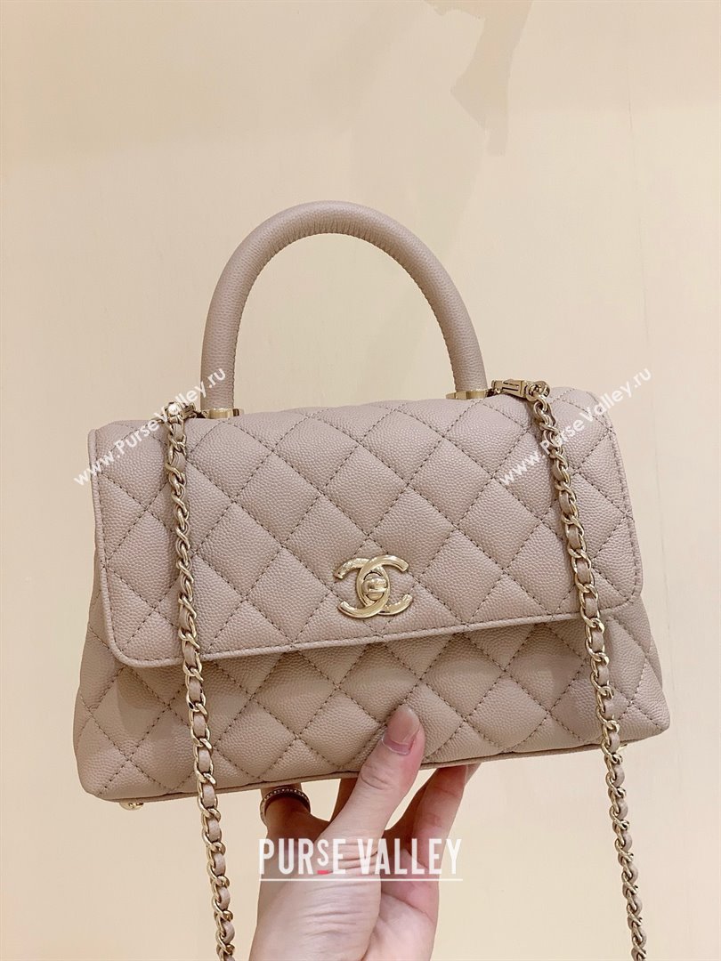 Chanel Small Flap Bag with Top Handle in Grained Calfskin A92990 Nude Pink 2025 Top Quality (SHUNY-25021102)