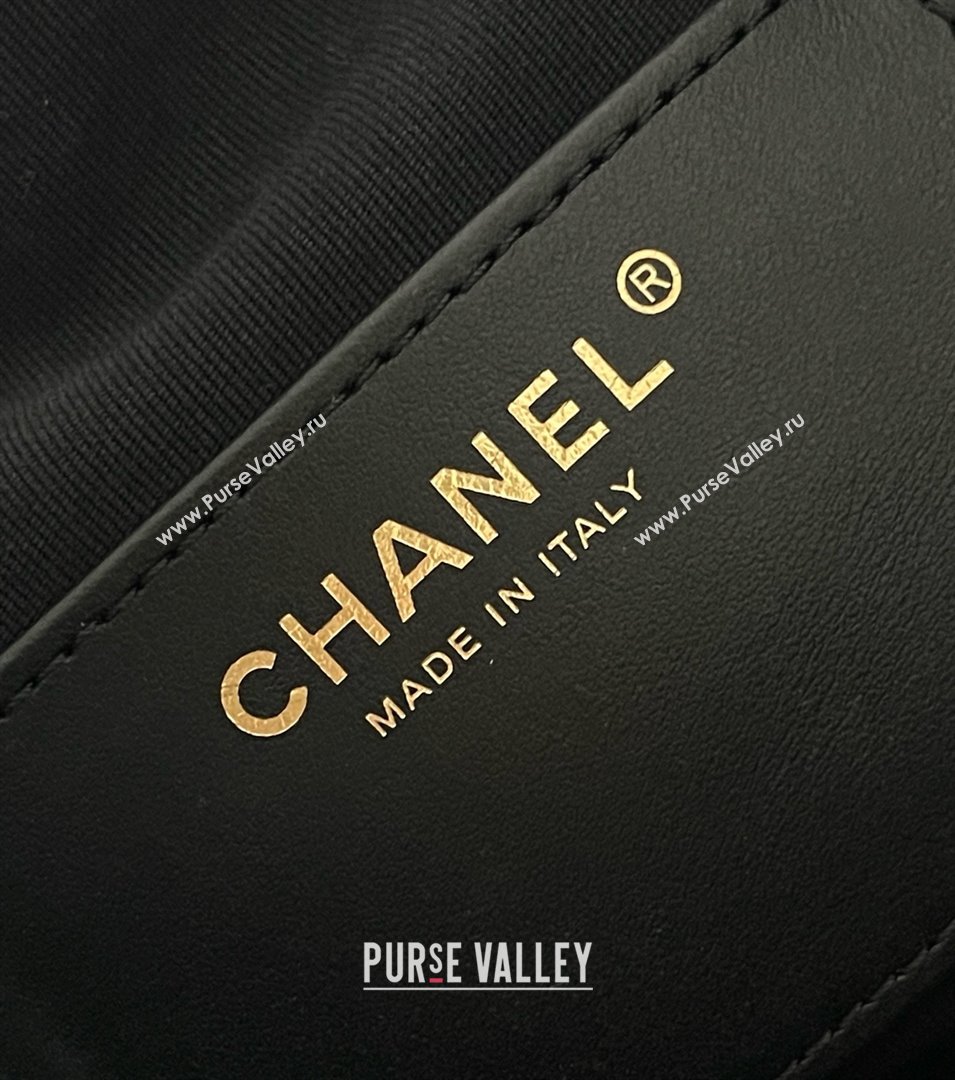 Chanel Original Antiba Calfskin Medium Hobo bag AS5293 Black 2025 Top Quality (MHE-25031904)