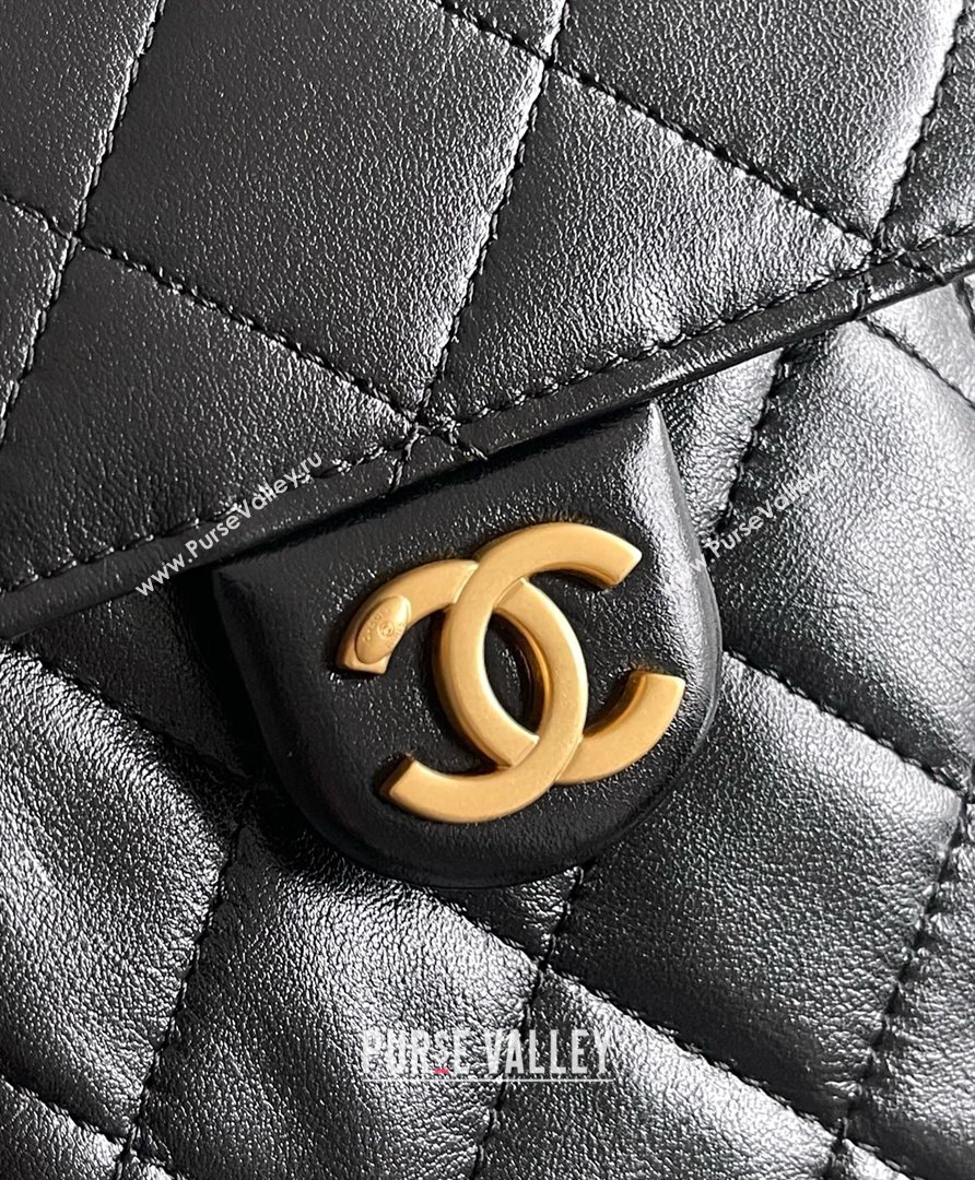 Chanel Original Antiba Calfskin Medium Hobo bag AS5293 Black 2025 Top Quality (MHE-25031904)