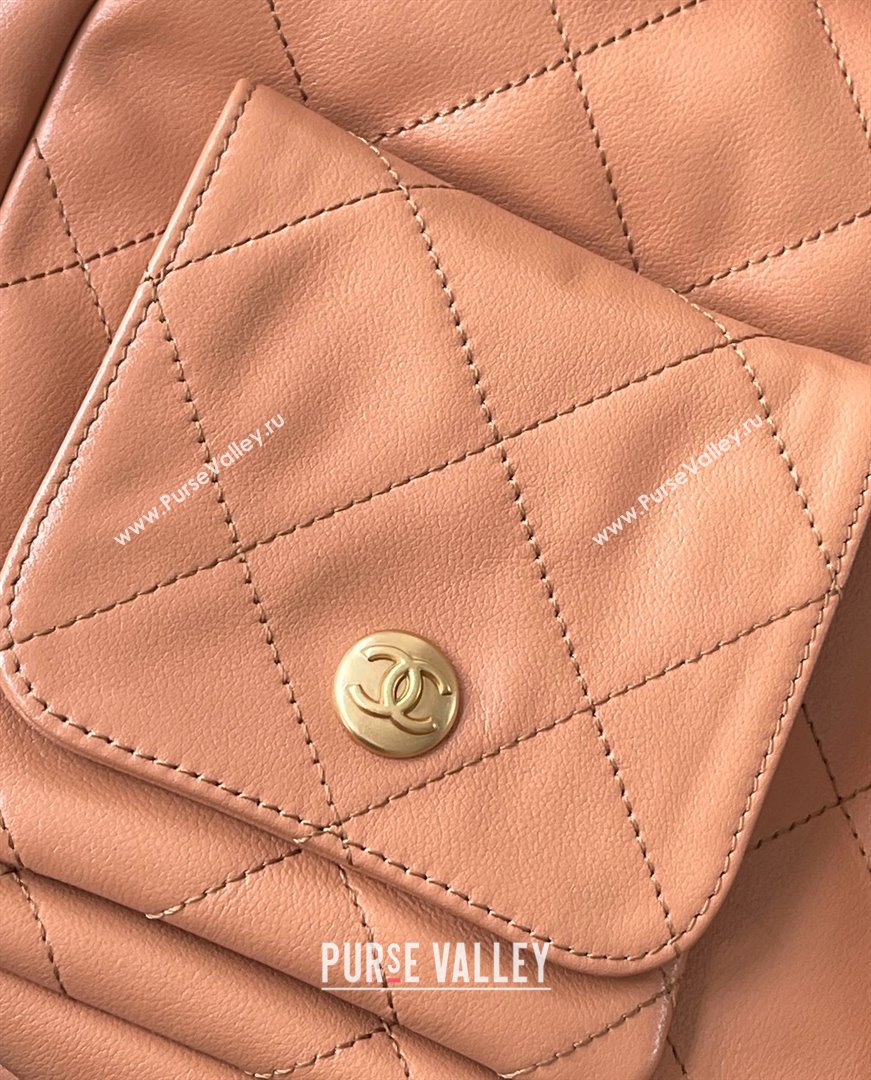 Chanel Medium Messenger Bag in Brown Calfskin AS4668 2025 Top Quality (MHE-25031901)