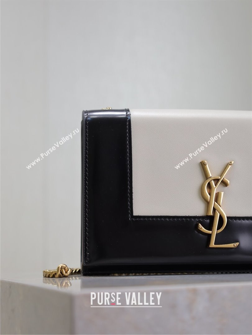 Saint Laurent Kate Small Chain Bag in Leather 469390 White/Black 2025 (YY-250409109)