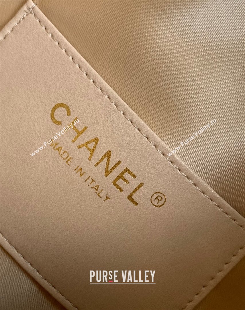 Chanel 25 Small Handbag in Grained Calfskin AS5293 Light Gold 2025 0811 (yezi-2508110071)
