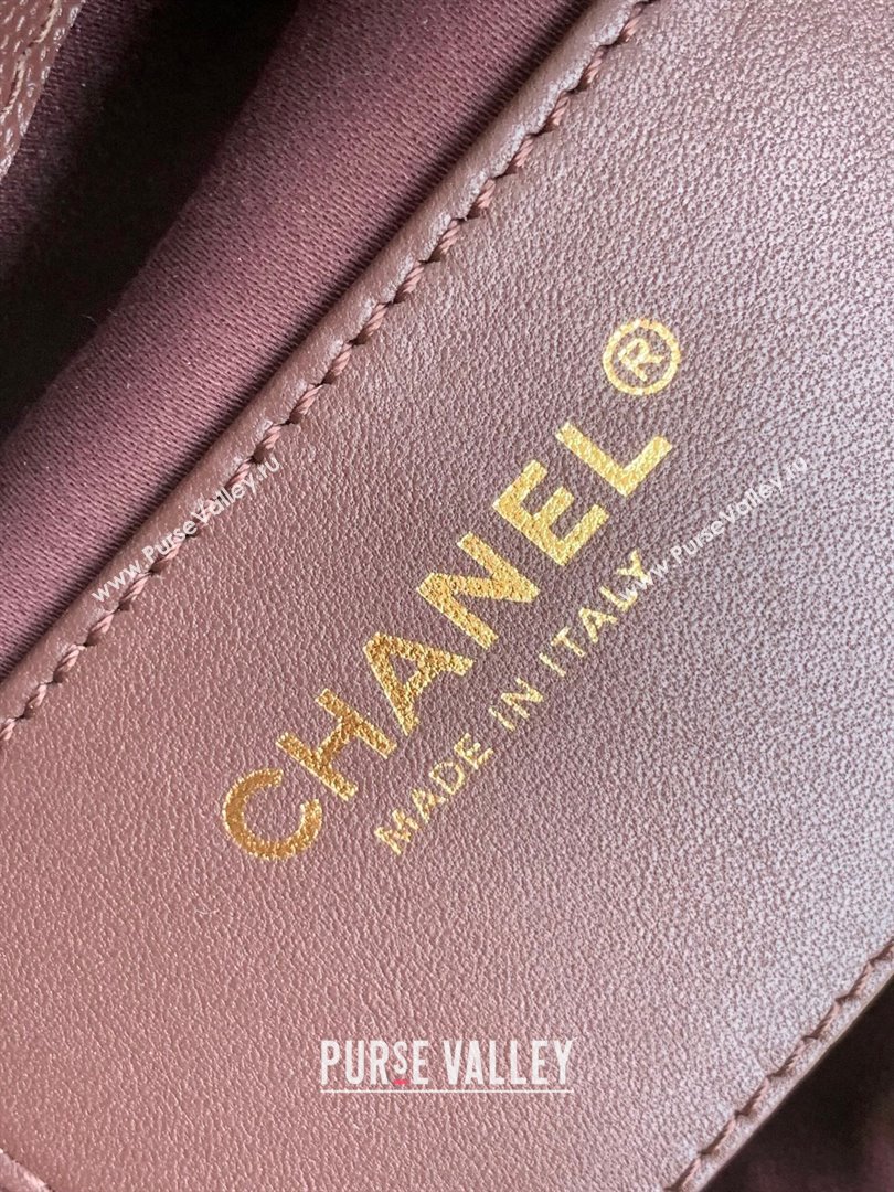 Chanel 25 Medium Handbag AS5311 AS5311 Dark Brown 2025 0811 (yezi-2508110065)