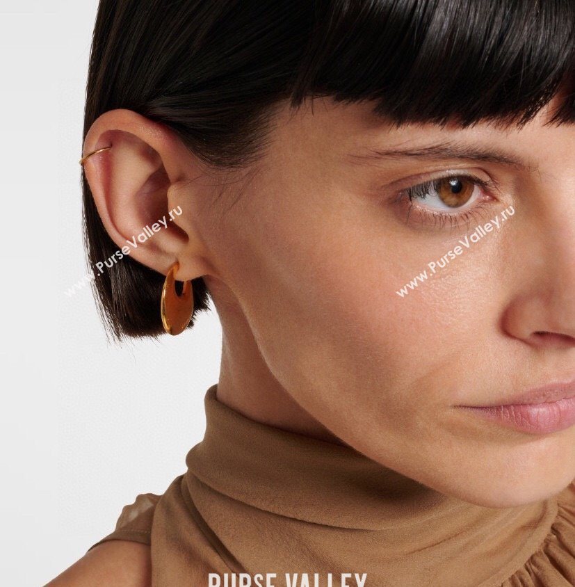 Saint Laurent Gold-Tone Earrings 2025 0618 (YF-250618070)