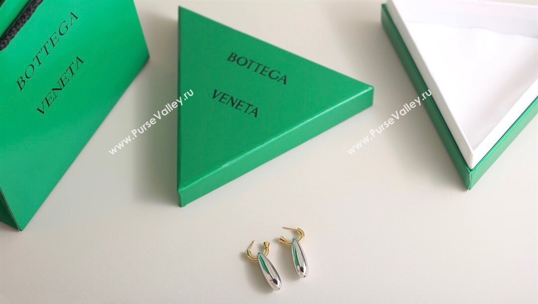 Bottega Veneta Ellipse Large Silver 2025 0618 (YF-250618085)