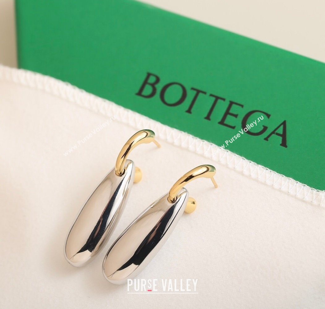 Bottega Veneta Ellipse Large Silver 2025 0618 (YF-250618085)