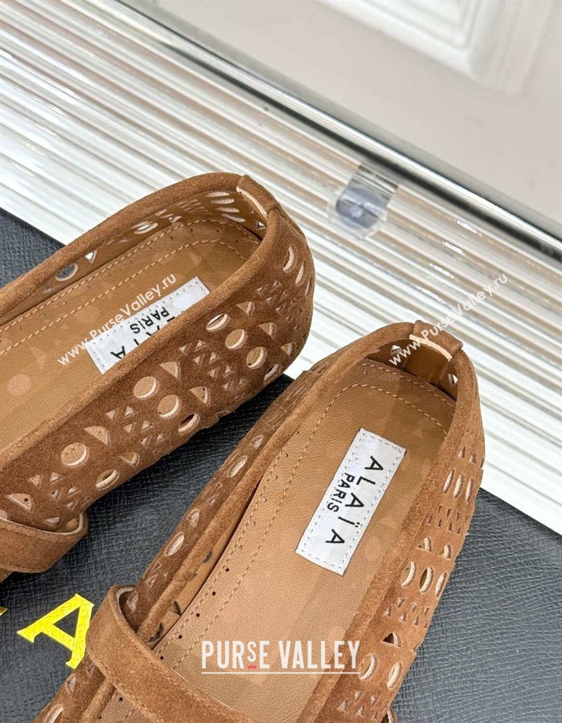 Alaia Ballet Flat in Openwork Suede Bronw2 2025 071905 (MD-250224048)