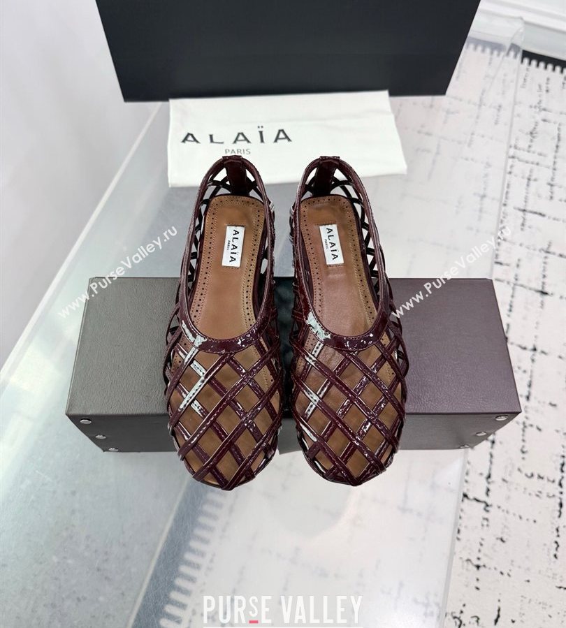 Alaia Cage Ballet Flats in Patent Calfskin Dark Burgundy 2025 AL070901 (KER-250709010)