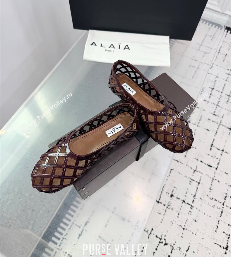 Alaia Cage Ballet Flats in Patent Calfskin Dark Burgundy 2025 AL070901 (KER-250709010)