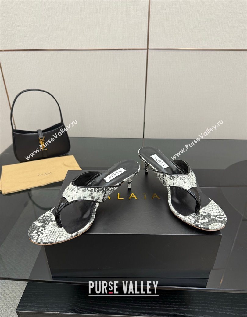 Alaia Heel Thong Slides Sandal 5.5cm in Snakeskin-Like Grey 2025 AL082701 (MD-250827080)