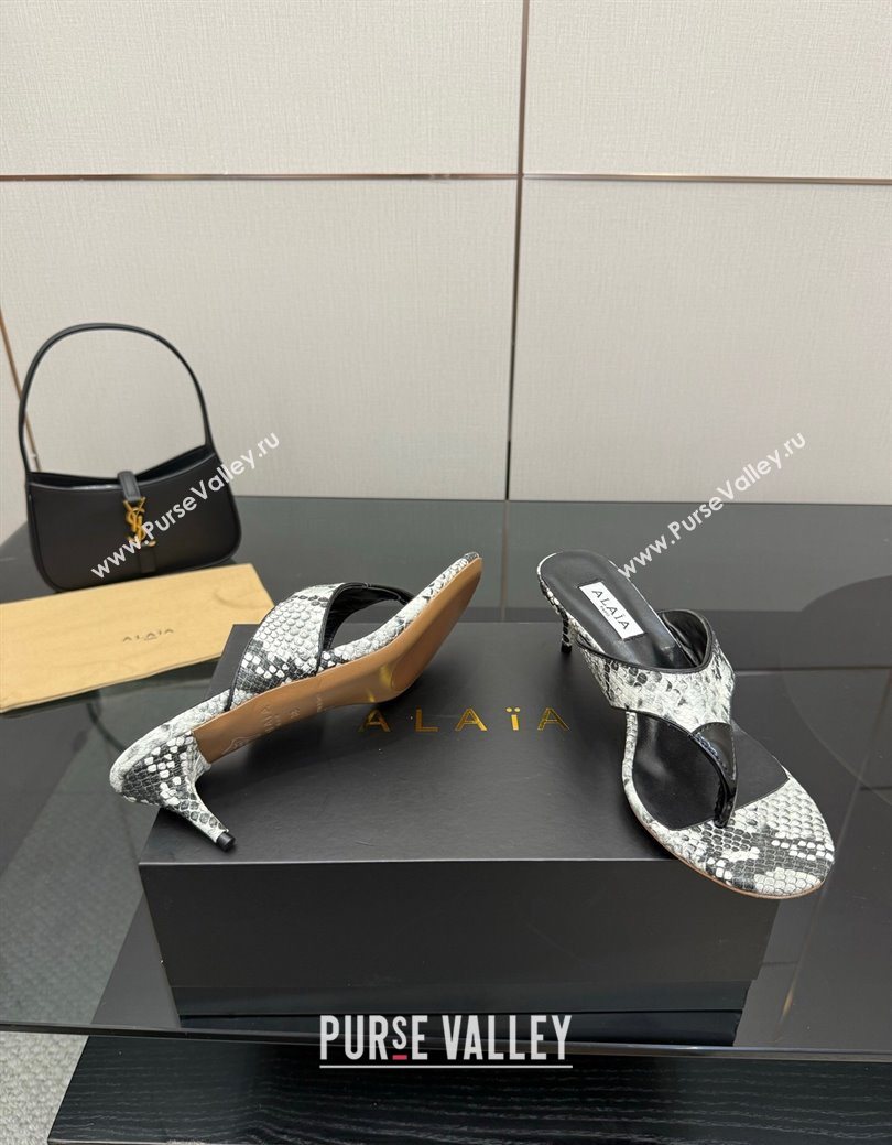 Alaia Heel Thong Slides Sandal 5.5cm in Snakeskin-Like Grey 2025 AL082701 (MD-250827080)