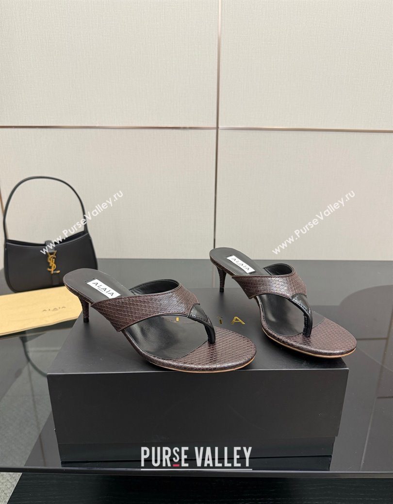 Alaia Heel Thong Slides Sandal 5.5cm in Snakeskin Like Brown 2025 AL082701 (MD-250827082)